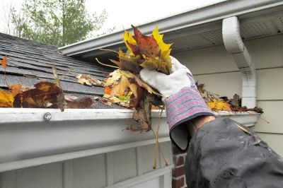 Gutter and Roof Maintenance